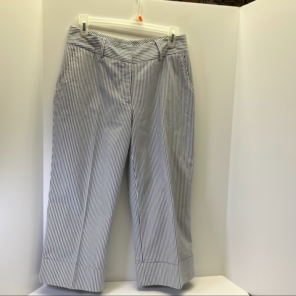 Julie Mitchell Urban Collection Capri Blue and White Stripe Pants Size 4